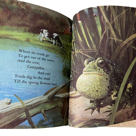 Where Is The Bear? 1st Ed A Betty Hubka Little Golden Book 1967 Golden Press LGB - Picture 10 of 16